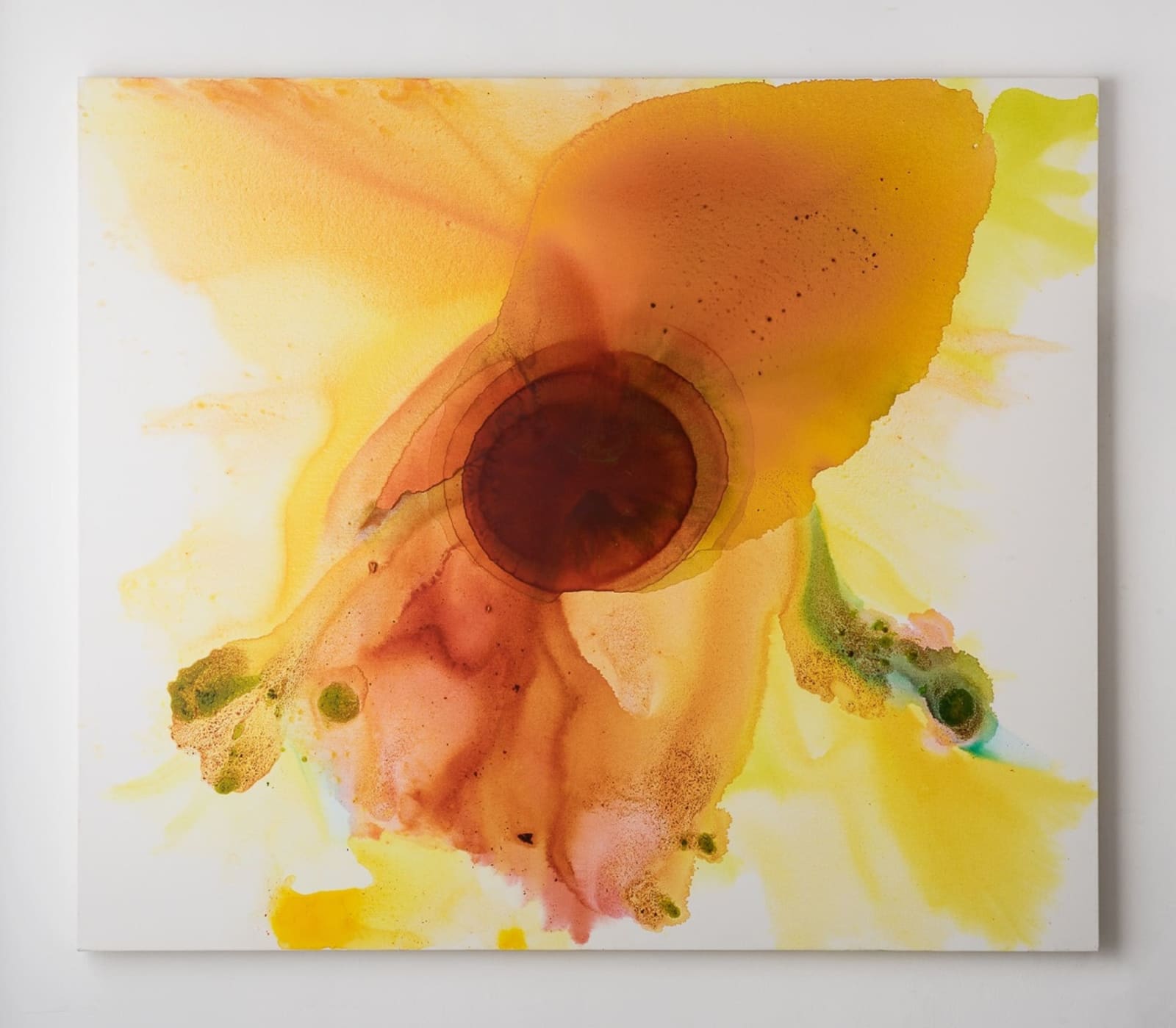 Rotem Reshef, Shameless Yellow, 2014