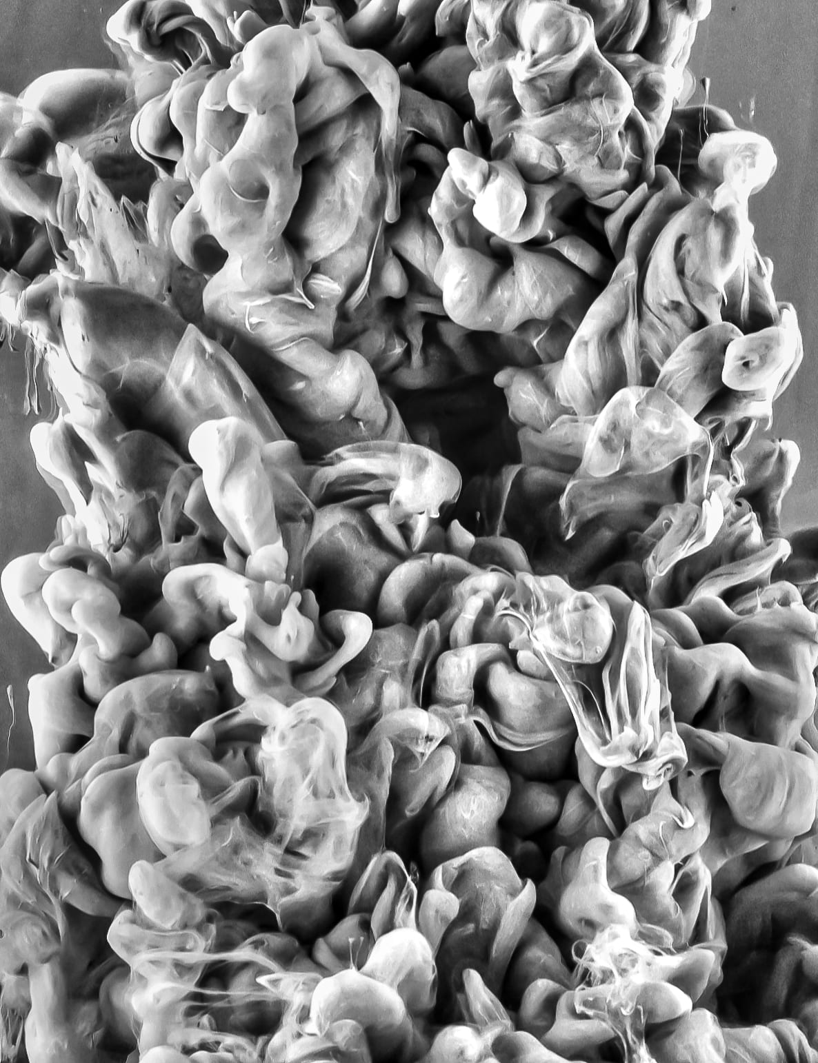 Jeff Robb, Gravity #2, 2012