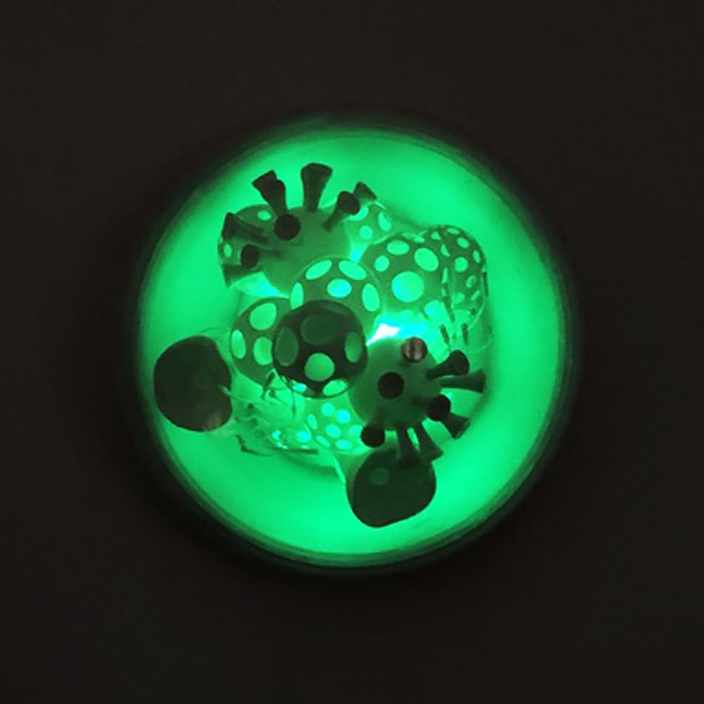 Cristiano Petrucci, OG2020, 2020