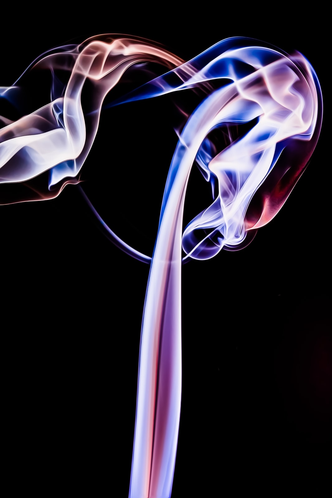 Michele Ardu, Wish you were here – Wish you were here (Pink Floyd), MUSICA, 2018