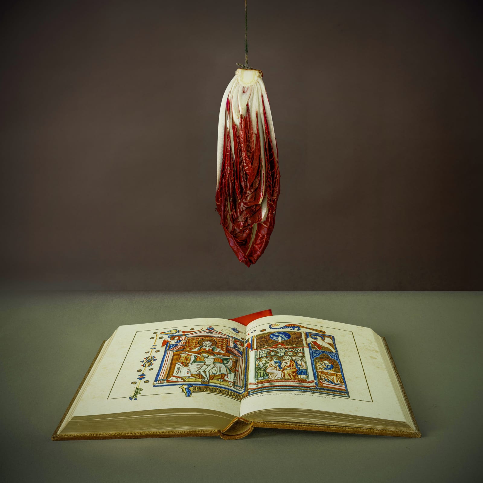 Jeff Robb, Radicchio, Religious Book (Radicchio, Libro Religioso), 2024