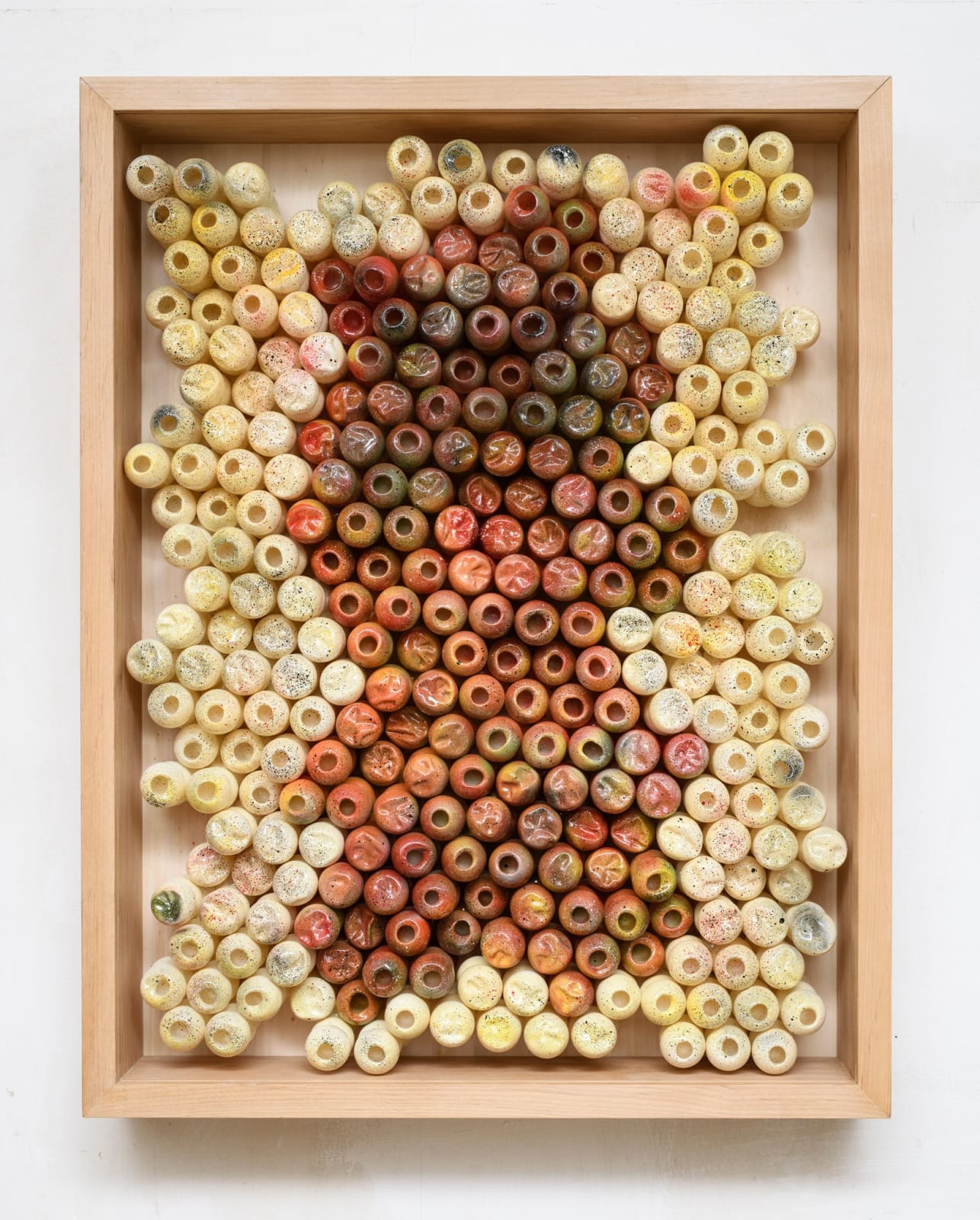 Cristiano Petrucci, Tessuto Fluido, 2024