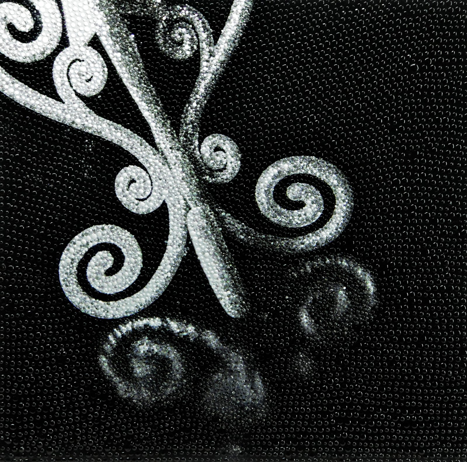 Elisa Cantarelli, Tin Man CS1, 2011