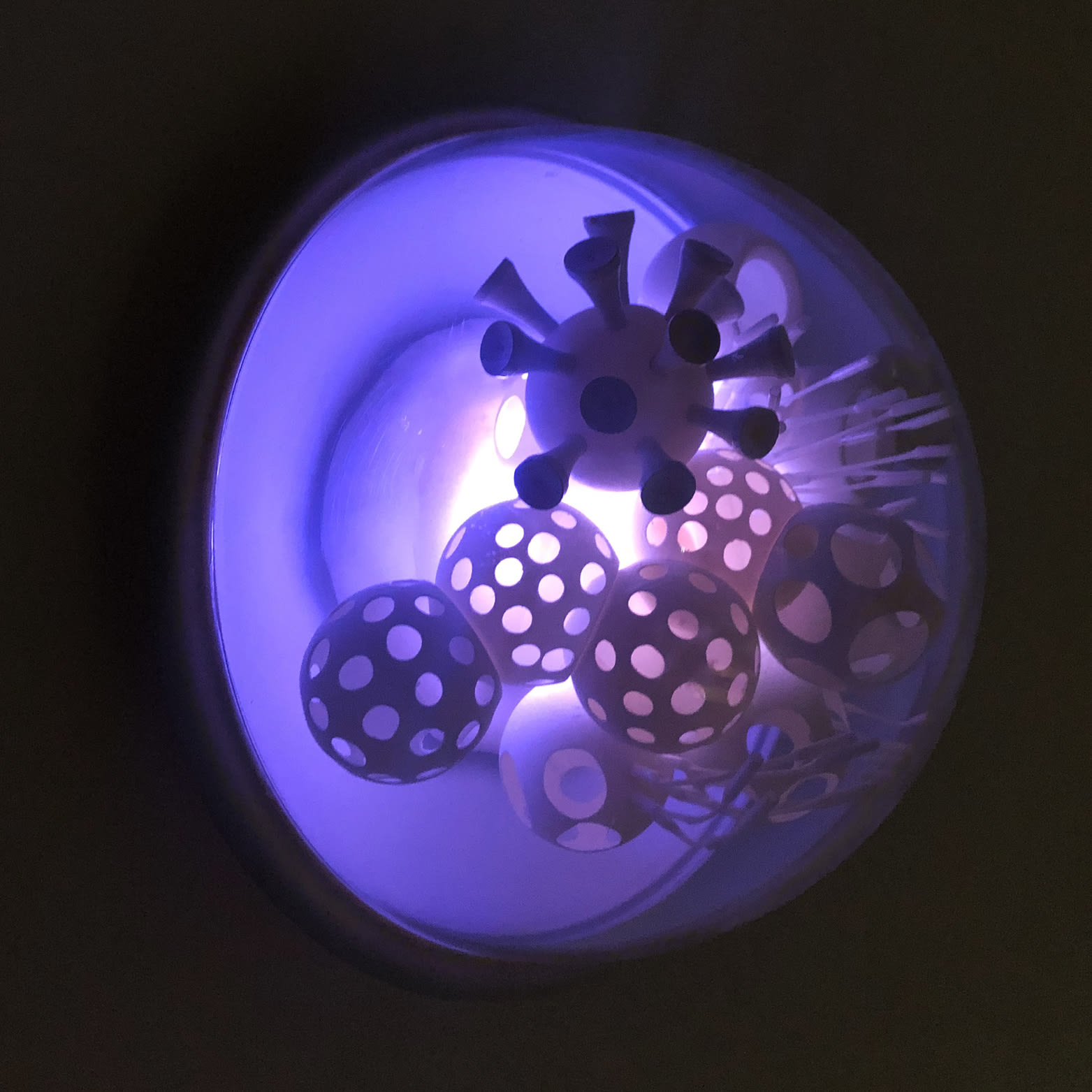 Cristiano Petrucci, OG2020, 2020