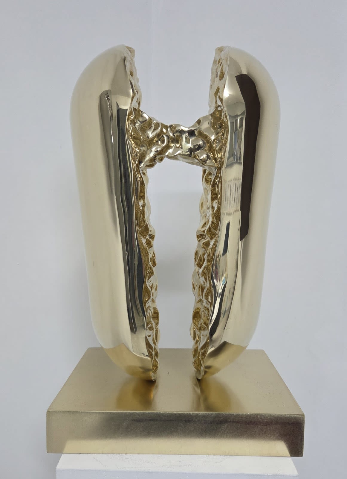 Helidon Xhixha, Unione di Luce, 2025