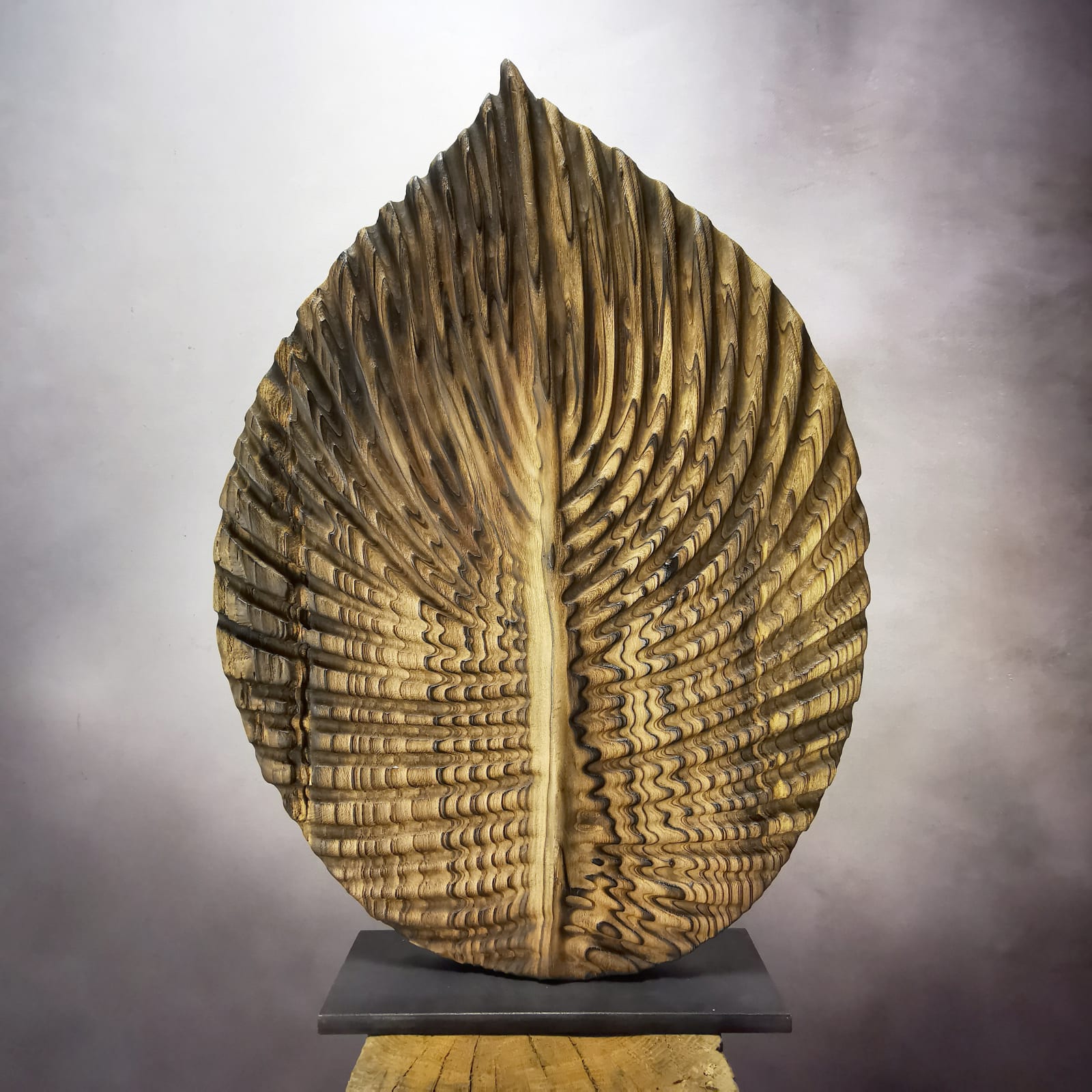 sculpture, bois, spirale, Loïc de Maisonneuve, art contemporain, sculpture organique, salon Côté Sud, Aix-en-Provence, sculpture artistique, érable teinté, formes naturelles, design bois, sculpture poétique, mouvement spiralé, matière vivante, détail