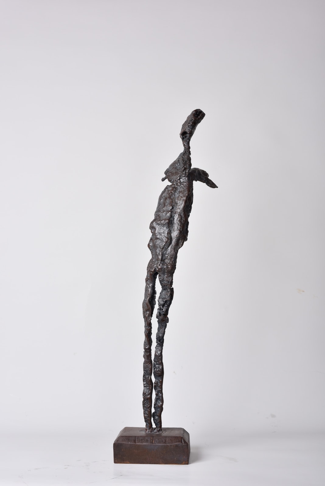 Jean-Claude GUERRI, Métamorphose