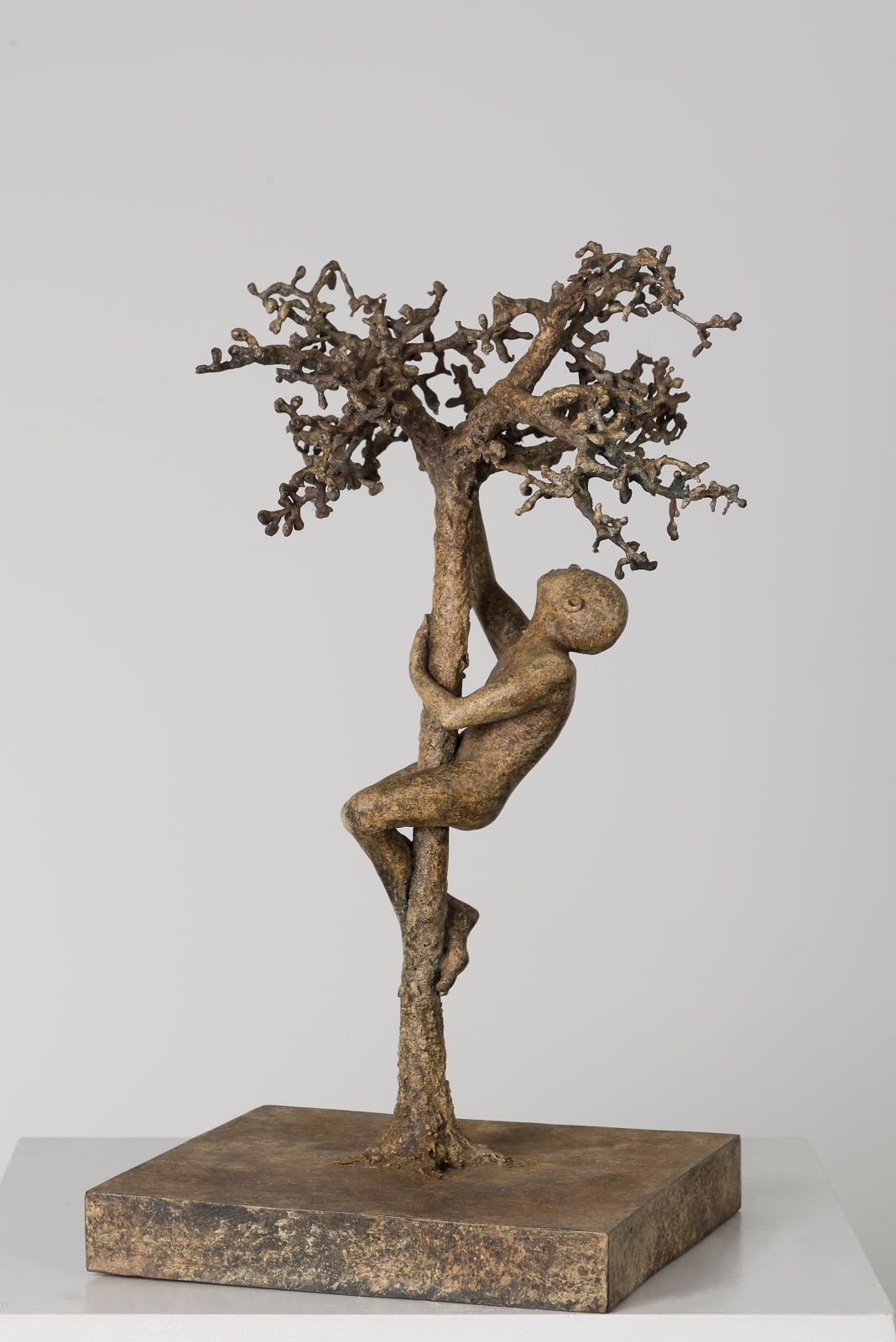 Monumental bronze sculpture “Eva’s Apple” by Lieven D’Haese, featuring a figure climbing a textured tree, designed for garden or outdoor placement.