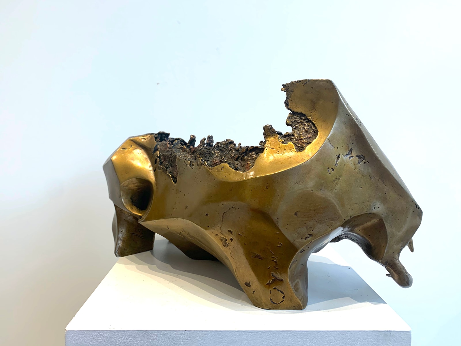 Gold ox, Taureaux, bull, bronze sculpture, so du sud, Art Thema Gallery, Art thema, baldini art thema, art thema arles, arles gallery, Brussels