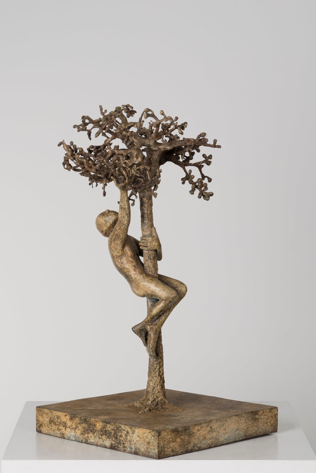 Sculpture monumentale “Eva’s Apple” de Lieven D’Haese, figure en bronze grimpant à un arbre texturé, adaptée pour un jardin ou un espace extérieur.