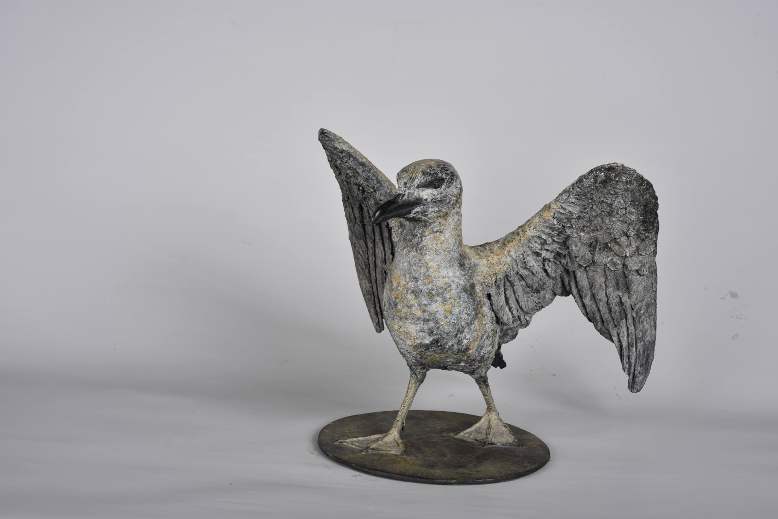 marie thys, thys, sculpteur, artiste belge, art thema, artthema, art, thema, art thema gallery, galerie d'art, galerie Arles, Arles, Camargue, oiseau, goeland, ailes, blanc, gris, jardin, extérieur, sculpture d'extérieur