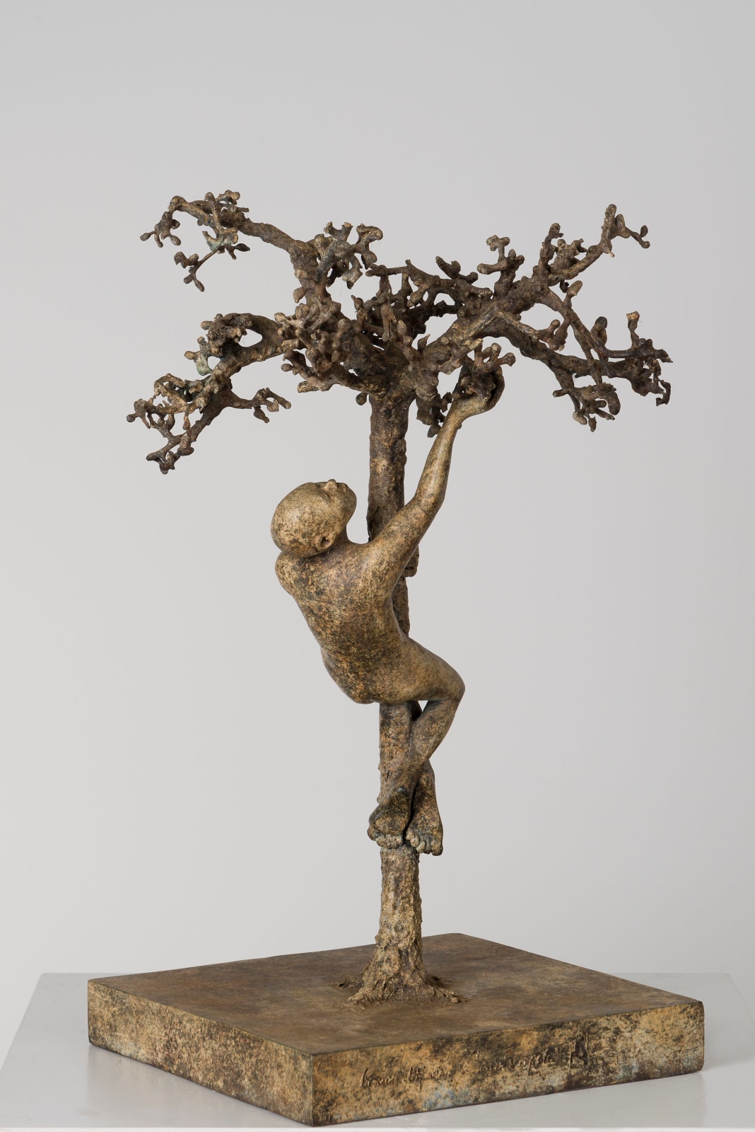 Monumentaal bronzen beeld “Eva’s Apple” van Lieven D’Haese, met een figuur die in een getextureerde boom klimt, geschikt voor tuin of buitenruimte.