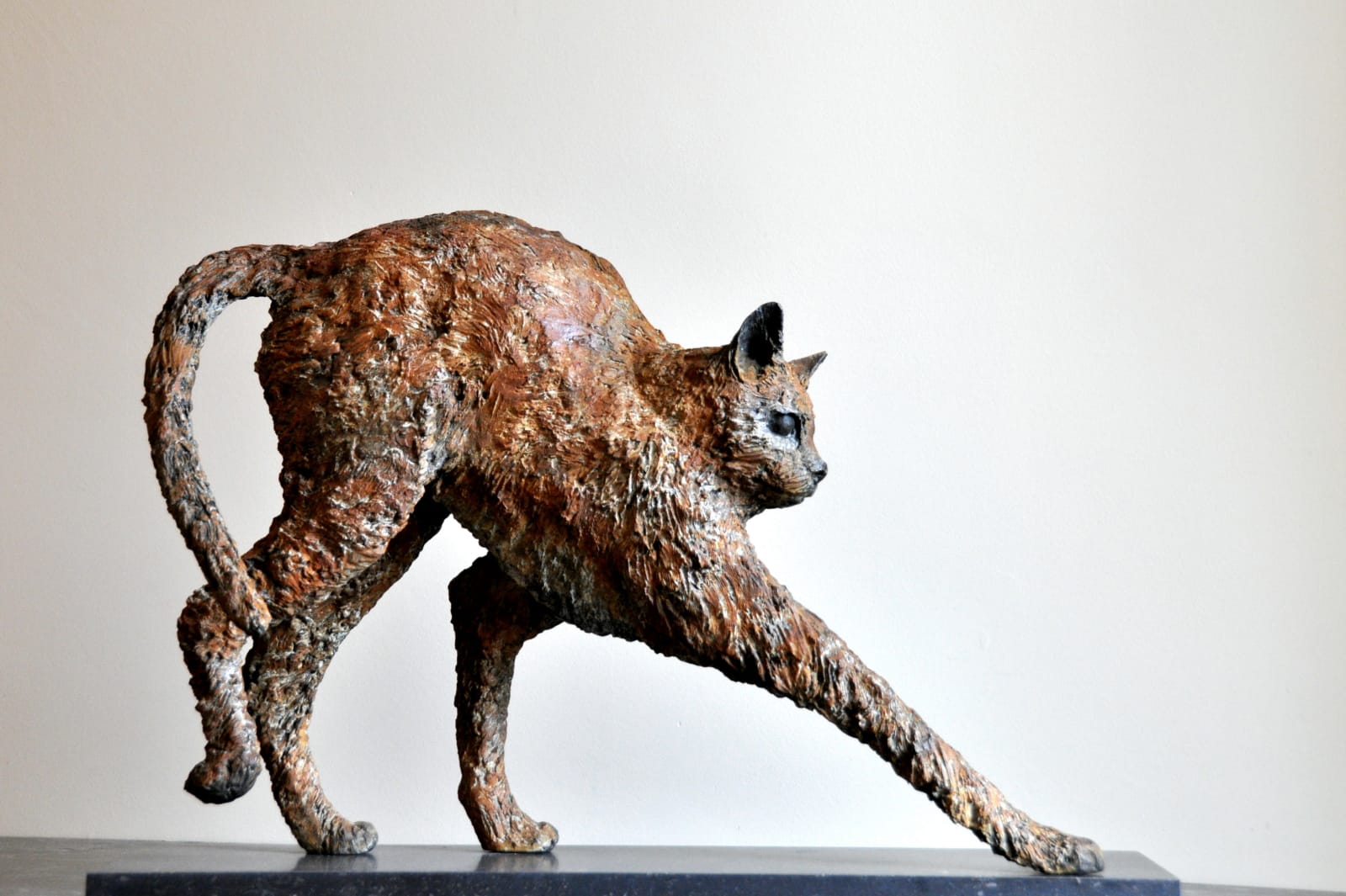Contemporary bronze cat sculpture by Marie Thys, expressive animal artwork with textured patina, collectible figurative sculpture suitable for indoor and outdoor settings