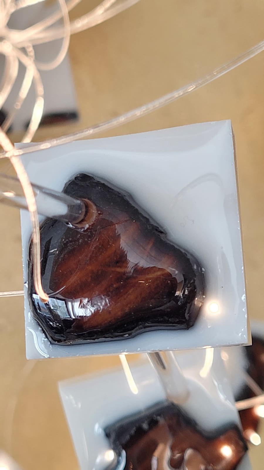 ROD, fleur 2, printemps, art floral, art d'installation, fibre optique, lumière sur mur, art contemporain, art de la fragmentation, installation contemporaine, décoration murale étonnante, design d'art, design d'intérieur, maison d'art, art abstrait, tissu, mix media, galerie art thema heyi, galerie d'art bruxelles, art de résine, art mur, art lumière