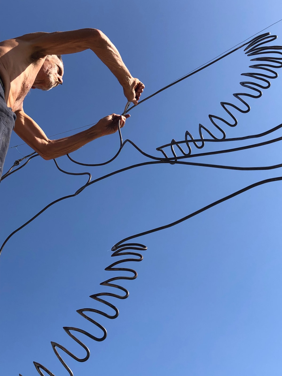 Charles SERRUYA, L'oiseau au delà & à l'infini, 2021