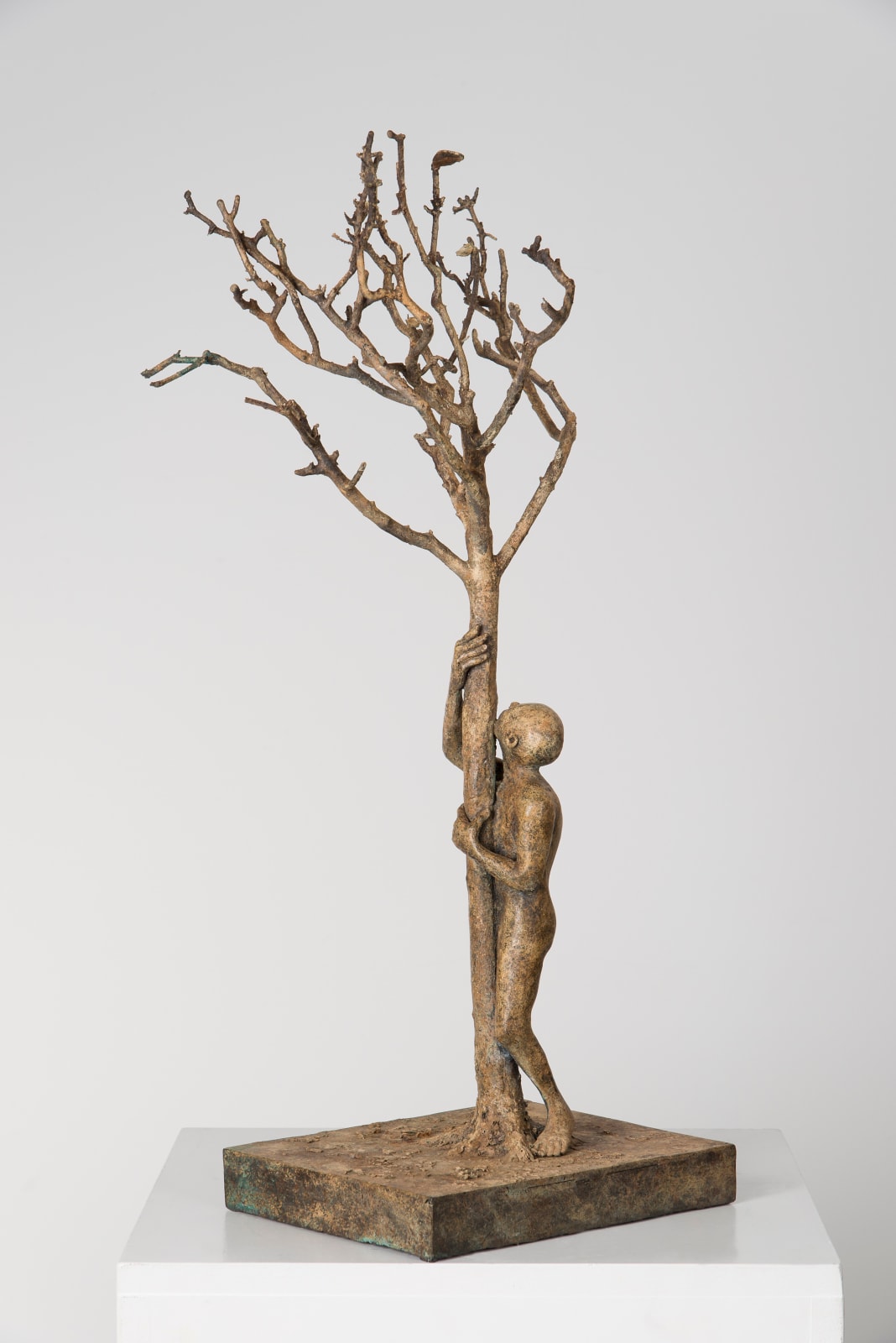 Staren naar het laatste blad, lieven d'haese, bronzen sculptuur, boomsculptuur, afrikaanse sculptuur, onschuldige sculptuur, sculptuur van hoop, sculptuurkunst, sculptuur van de natuur, interieursculptuur, figuratieve kunst, figuratieve sculptuur, hedendaagse sculptuur, interieurontwerp, kunst decoratie, salondecoratie, art thema heyi, belgische kunstgalerie