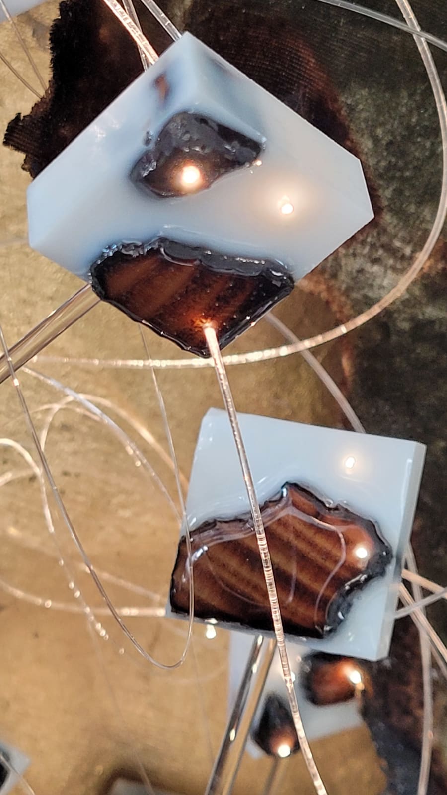 ROD, bloesem 2, lente, bloemenkunst, installatiekunst, glasvezel, licht aan de muur, hedendaagse kunst, fragmentatiekunst, hedendaagse installatie, geweldige wanddecoratie, kunstontwerp, interieurontwerp, kunsthuis, abstracte kunst, weefsel, mix media, art thema heyi galerij, kunstgalerij brussel, resin art