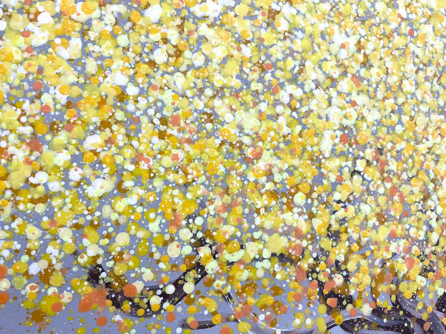 Olivier Messas, Lumière, 2023