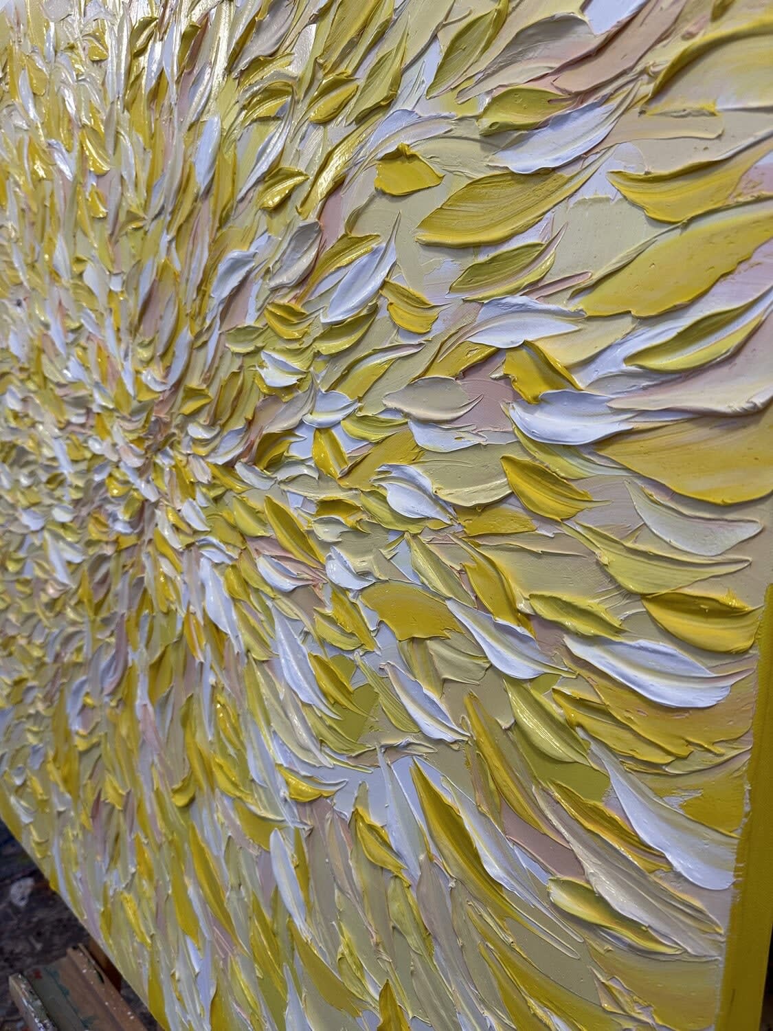 Olivier Messas, Les lumières de l’été, 2024
