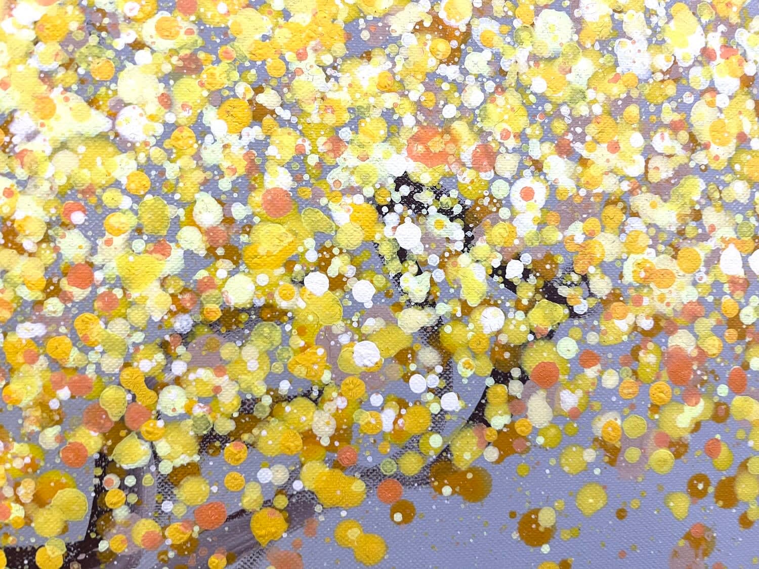 Olivier Messas, Lumière, 2023