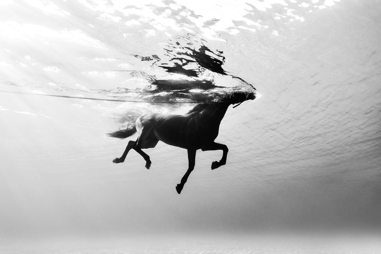 Kurt Arrigo, Photography; Letting Go