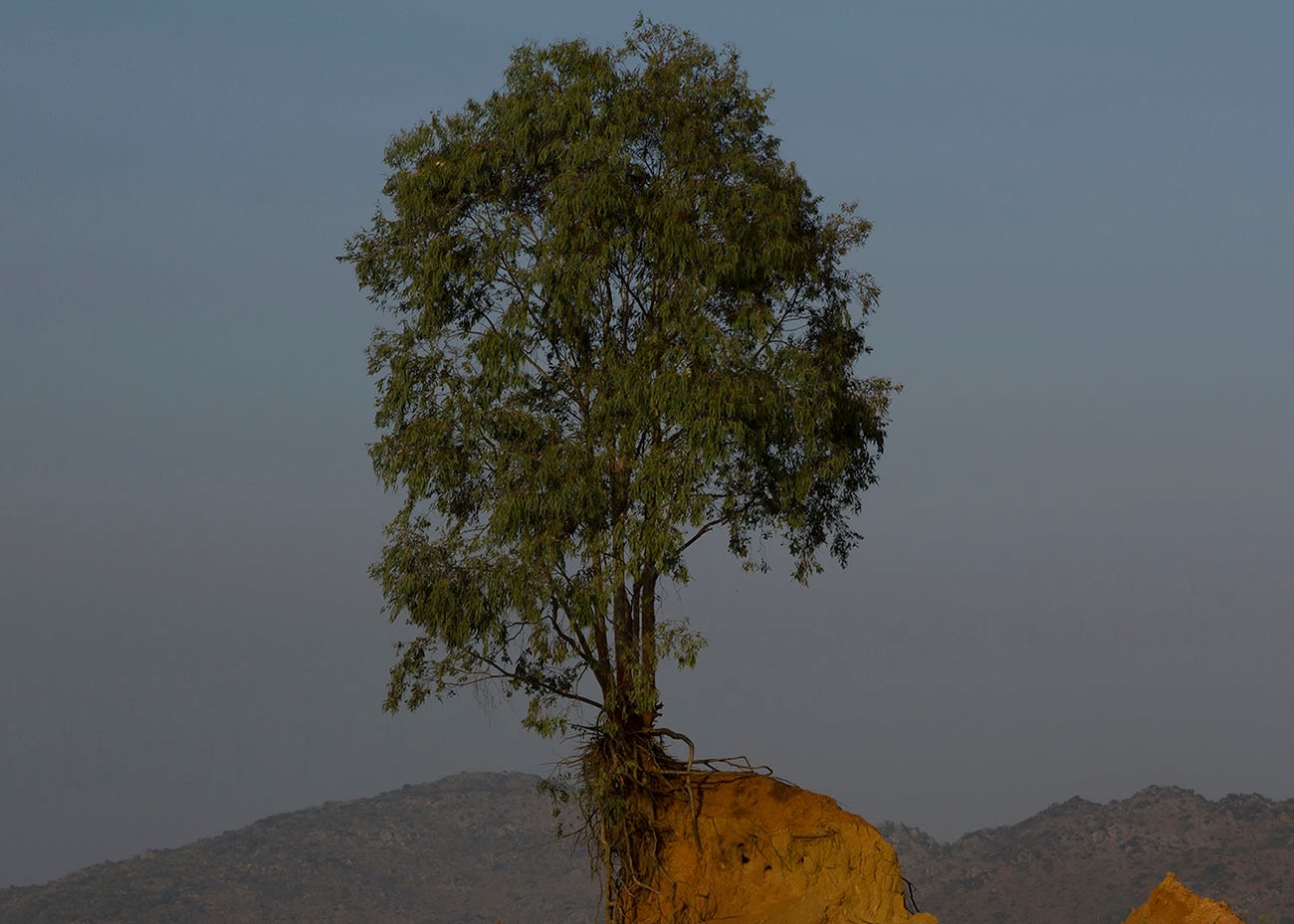 Abraham Oghobase, Landscape #13, 2017