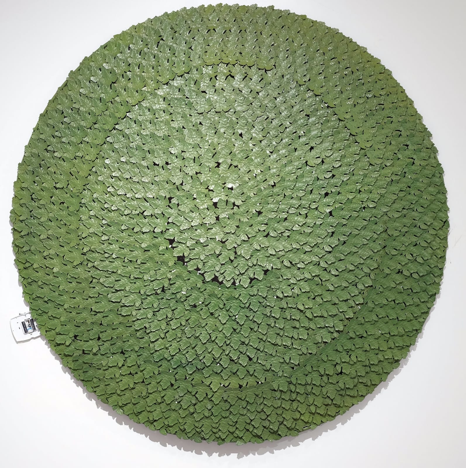 Olu Amoda, Summer iv, 2016