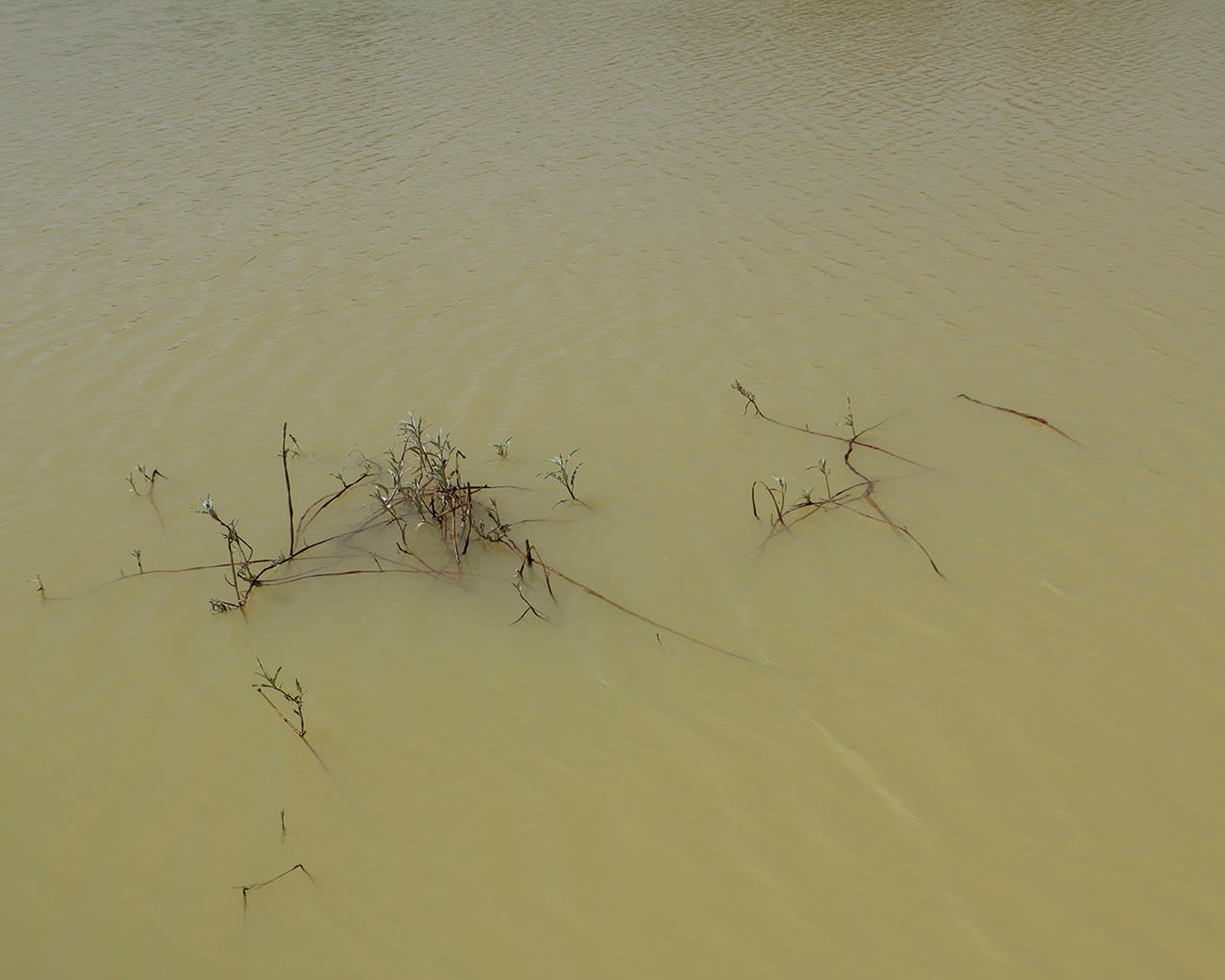 Abraham Oghobase, Landscape #8, 2017