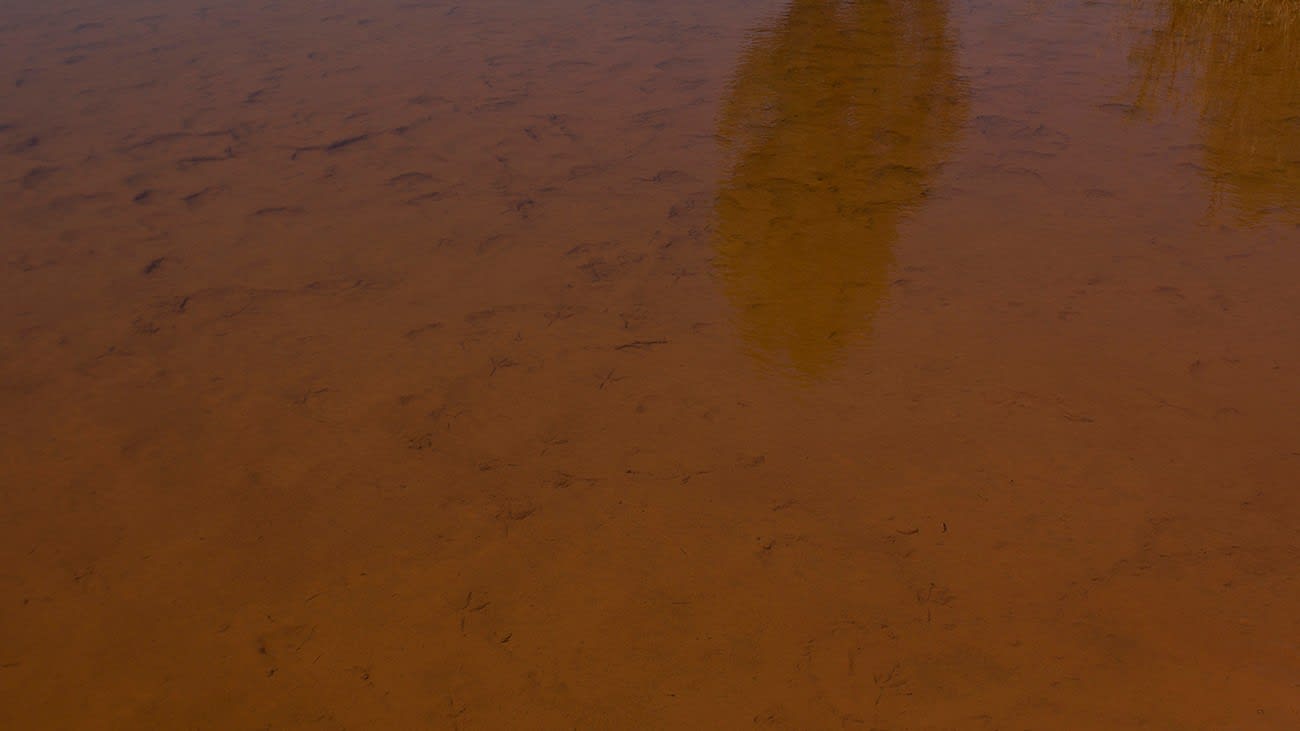 Abraham Oghobase, Landscape #6, 2017