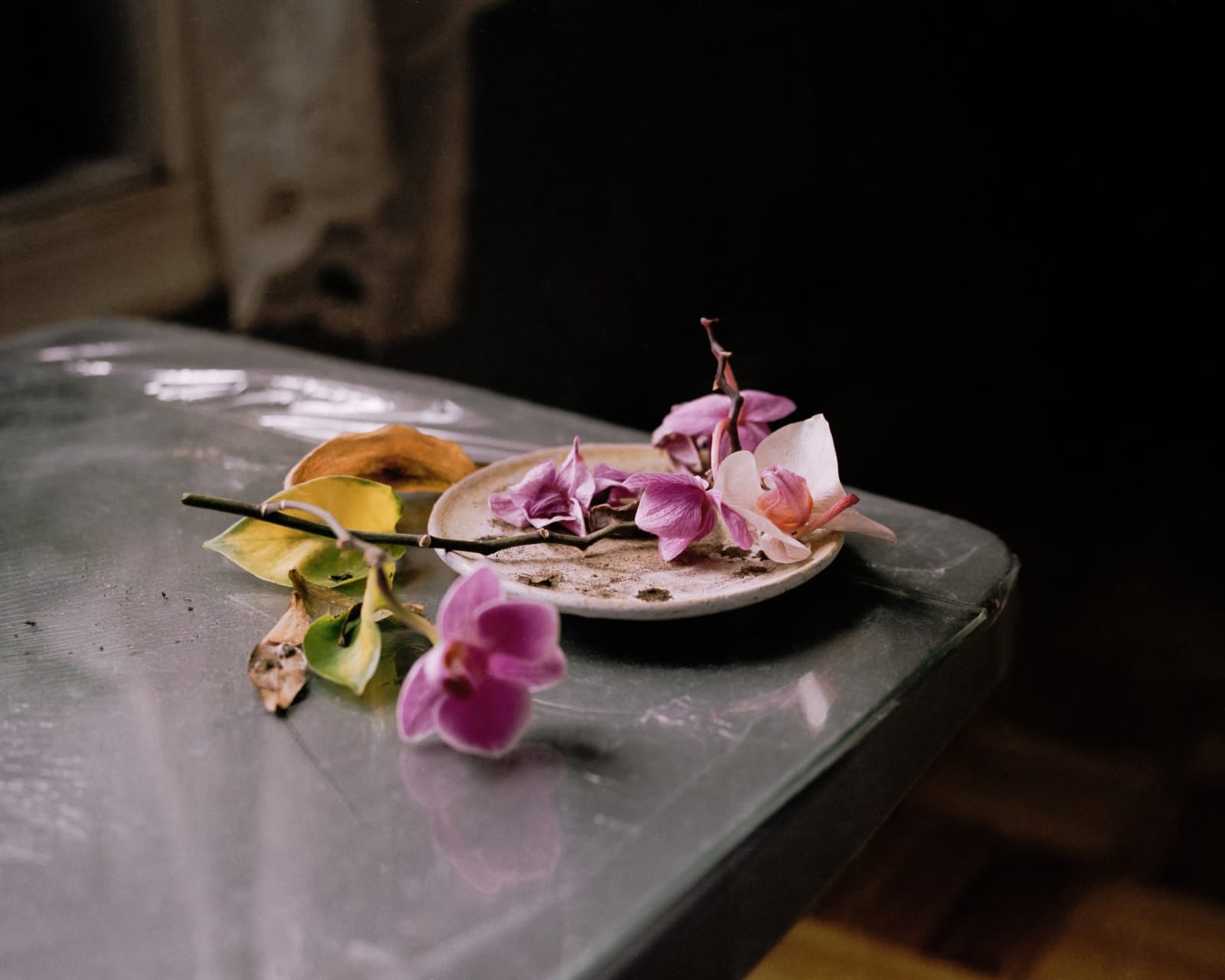 Quang Hai Nguyen, between your voice and mine, 2022