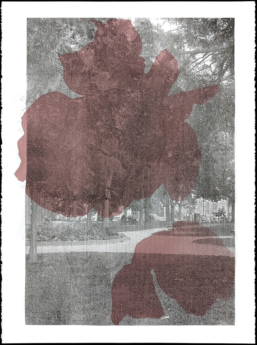 Alexey Lazarev, Herbarium x Peripheral Landscape (Montreal), 2023