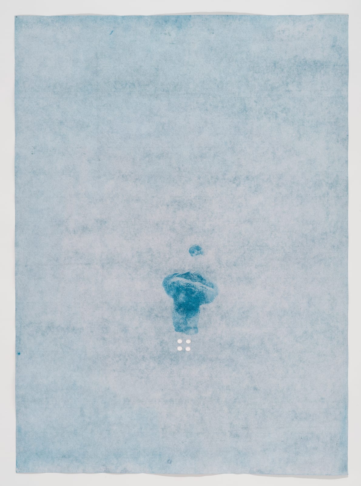 Zahra Hosseini, Bright Shadows I, 2025