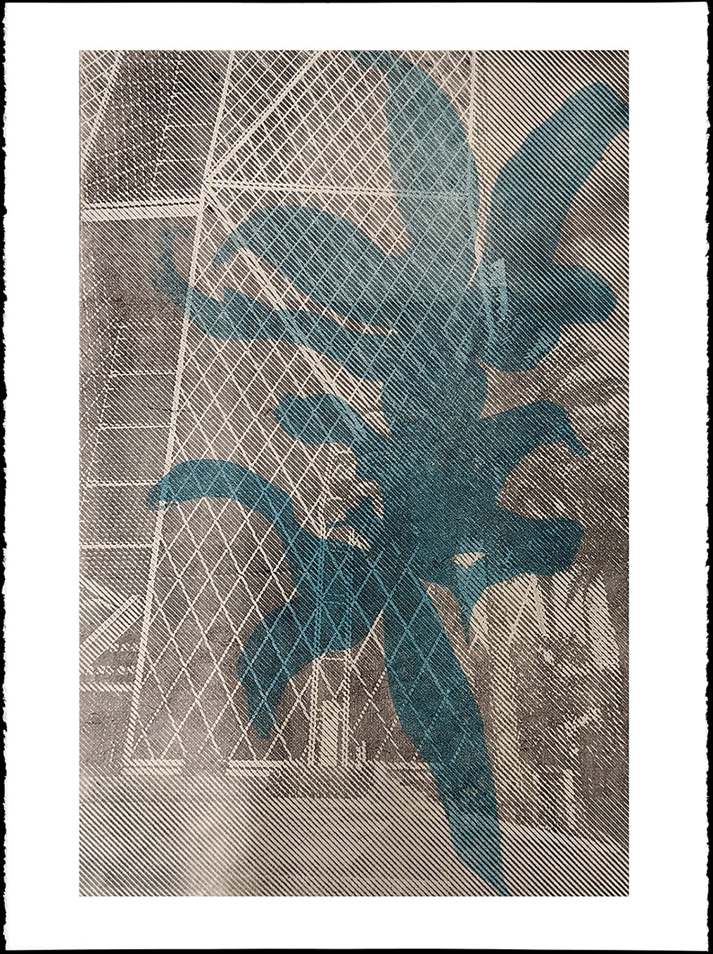 Alexey Lazarev, Herbarium x Peripheral Landscape (Kaoshiung), 2023