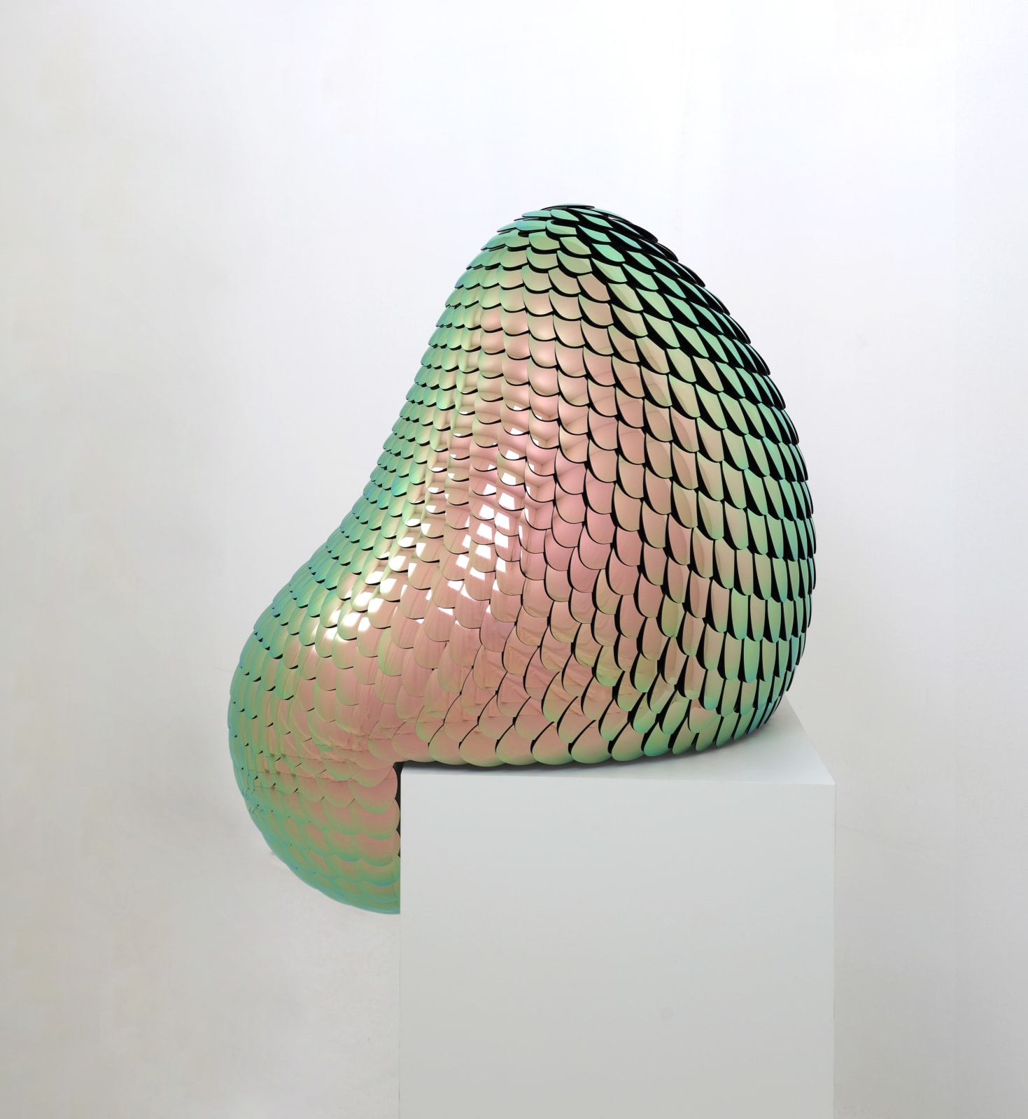 Eelco Hilgersom, Habitat Satisfied champagne, 2025