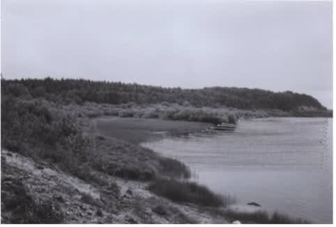 Ustina Yakovleva (Works on paper), From the series "Chakola", 2021