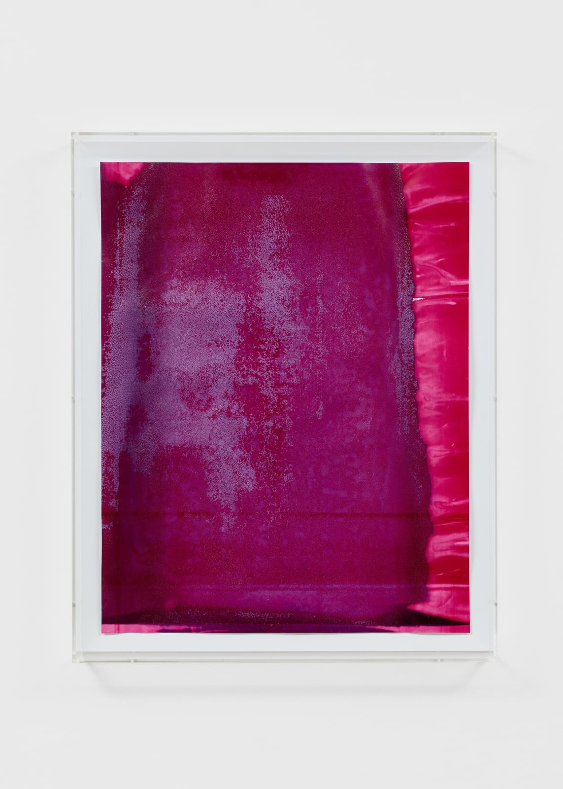 Mika Plutitskaya, Surfaces: Pink '01, 2025