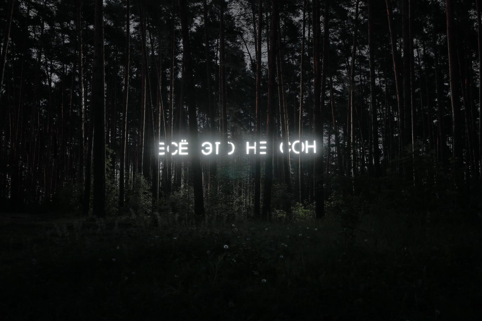 Tima Radya, It is not a dream, 2018