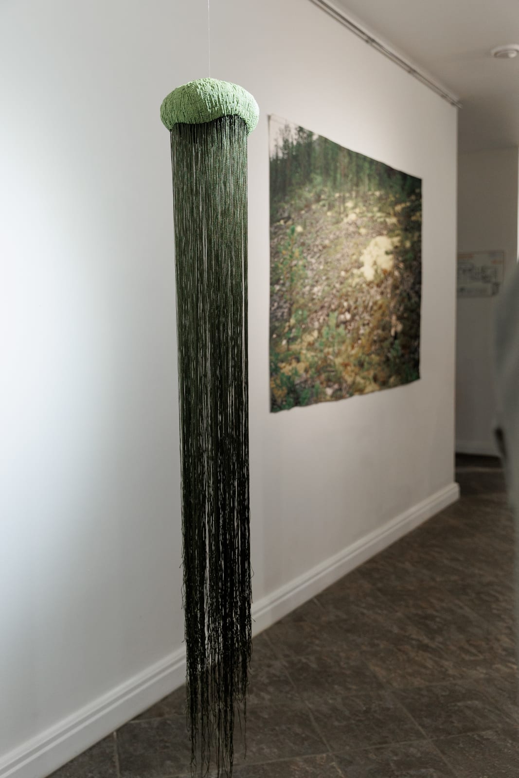 Ustina Yakovleva, Mollusk Green II, 2025