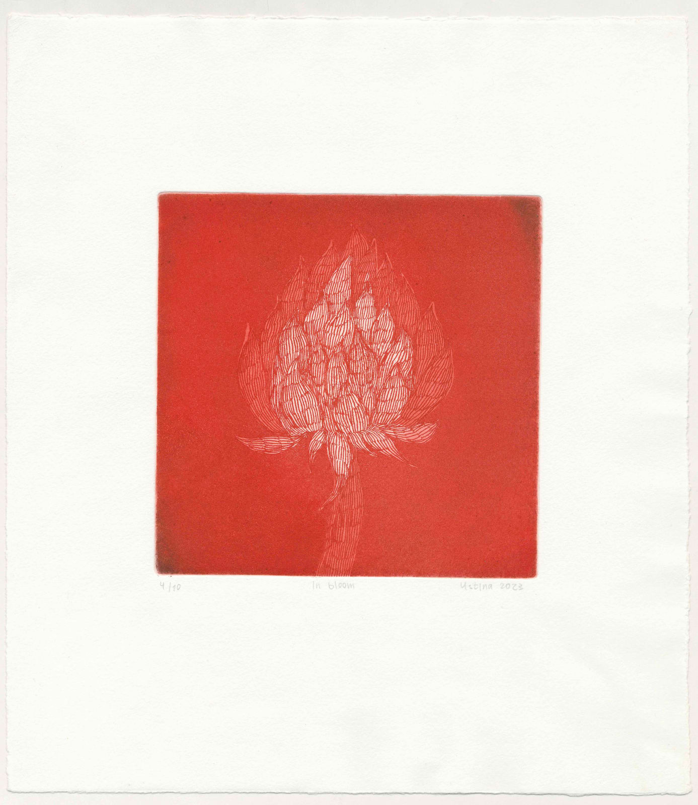 Ustina Yakovleva (Works on paper), In Bloom, 2023