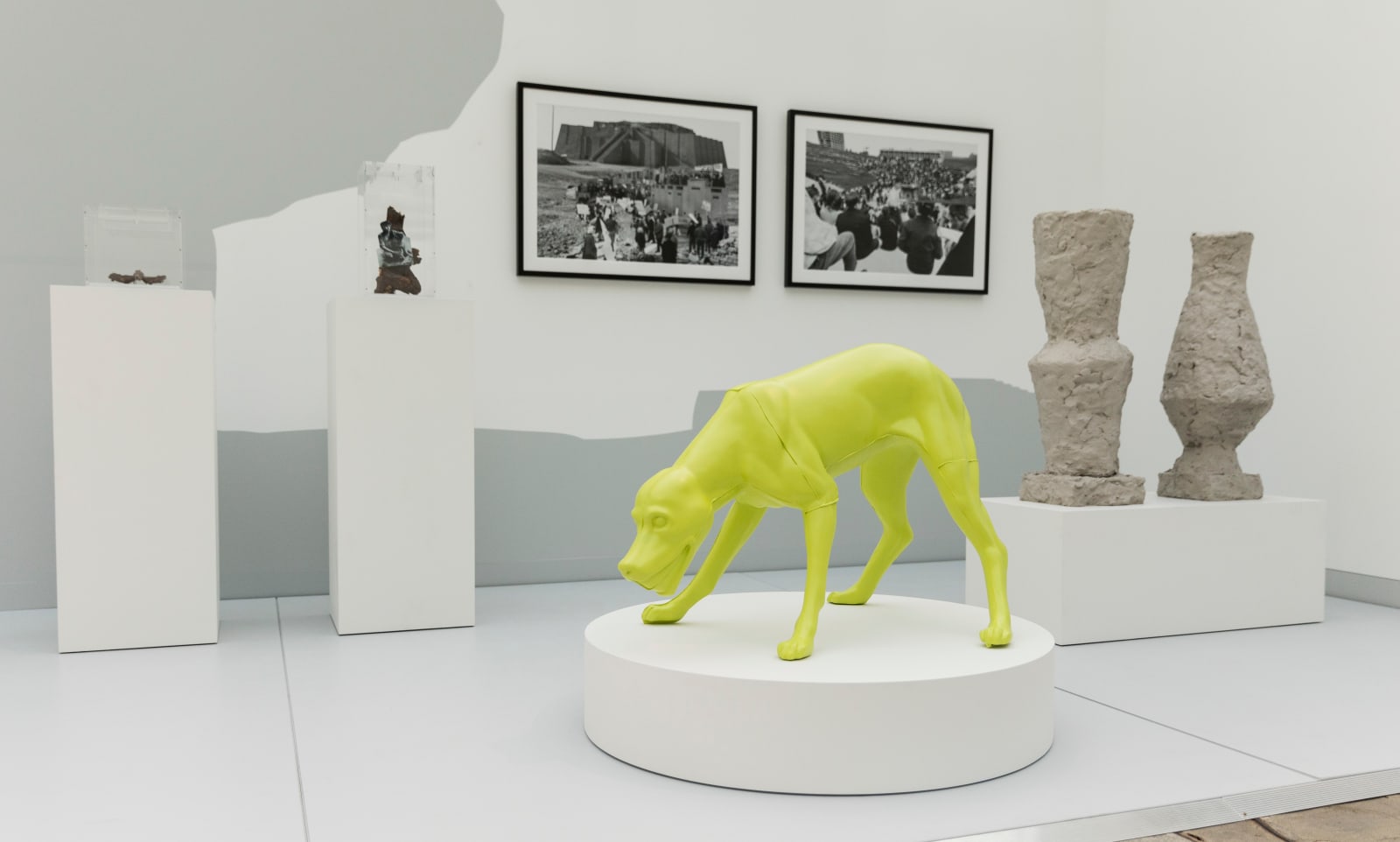 Anna Titova, Pavlov’s Dog, 2016