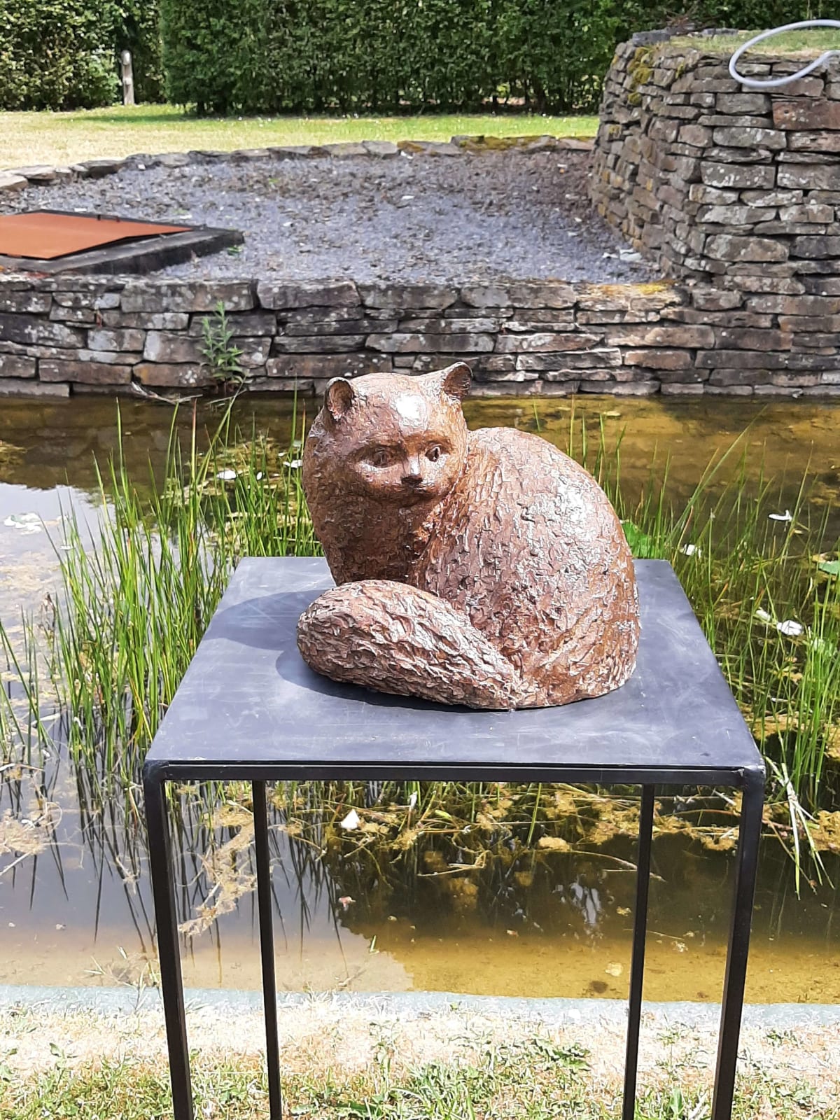 de kat sylvie debray Gaudissart hedendaags brons dierbeeldhouwwerk gesneden katbeeldhouwwerk zittend en kijkend kunstgalerij van brussel belgië art yi