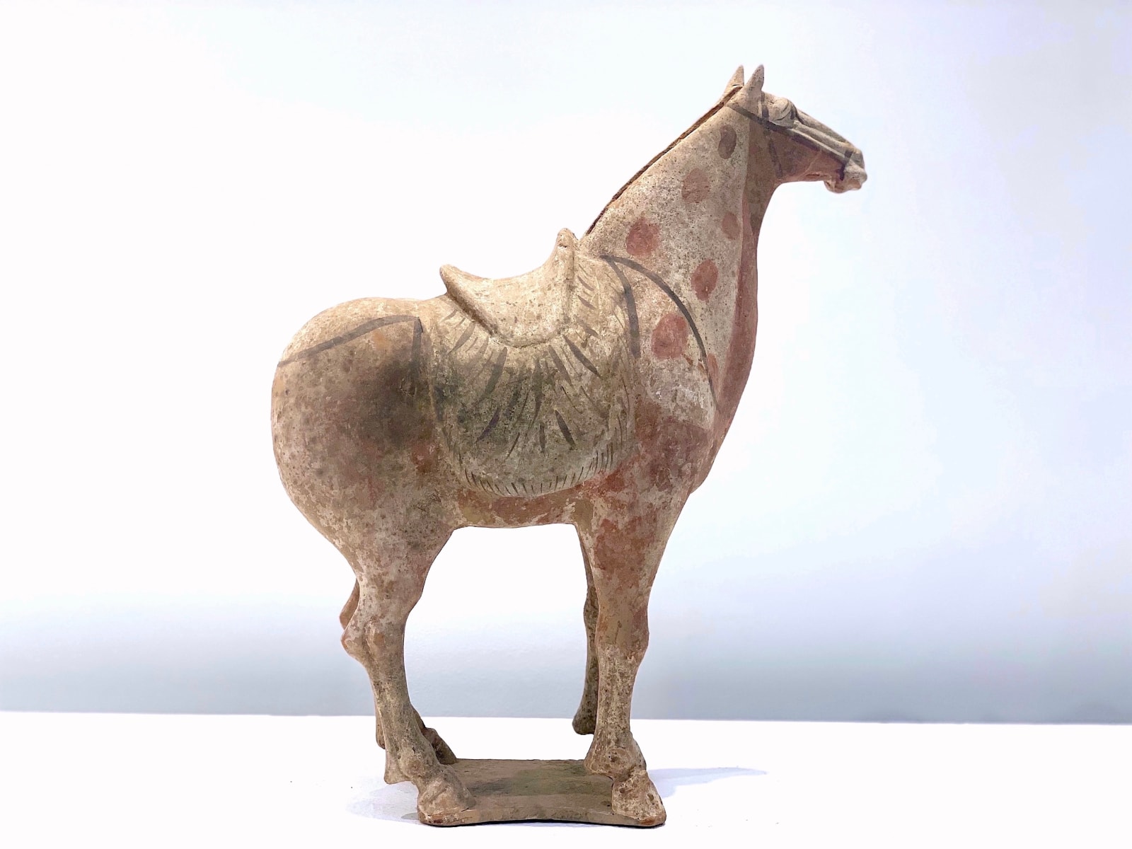 Chinese Antiques 中国古董, A Painted Pottery Saddled Horse 中国唐代彩陶马, Tang  Dynasty, 618 A.D. to 906 A.D., Early 8th Century | Art Yī
