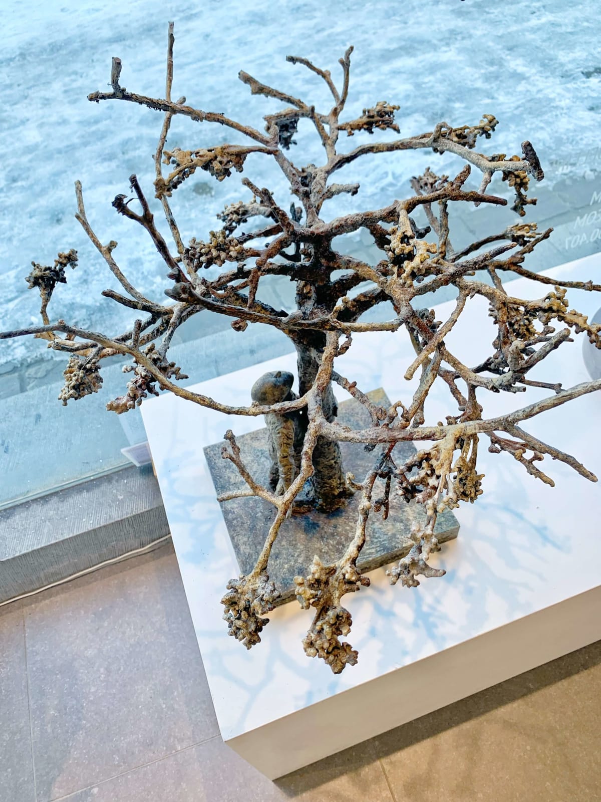 Lieven d'Haese, Conversation with a tree after a night out in spring, 2024