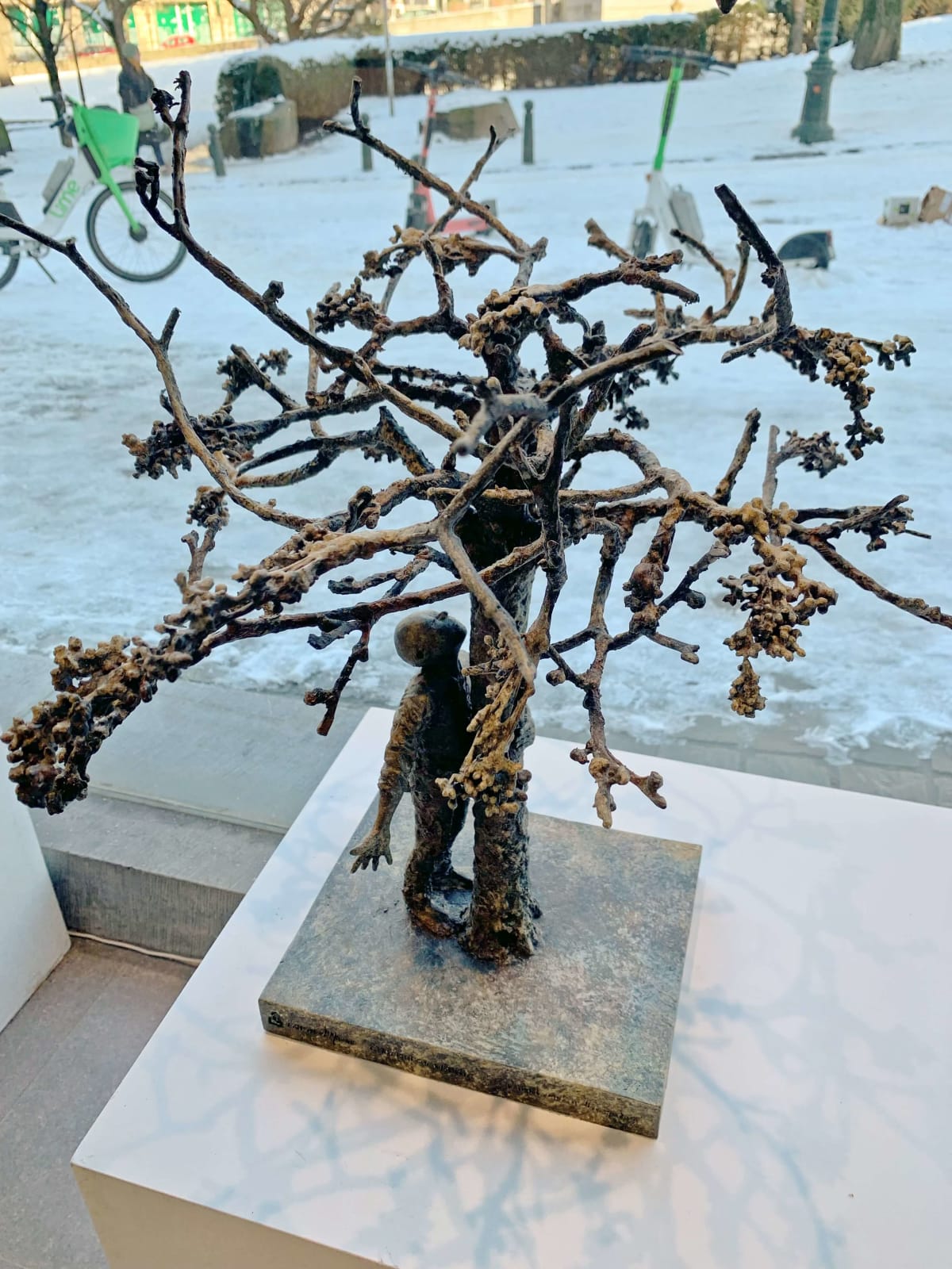 Lieven d'Haese, Conversation with a tree after a night out in spring, 2024