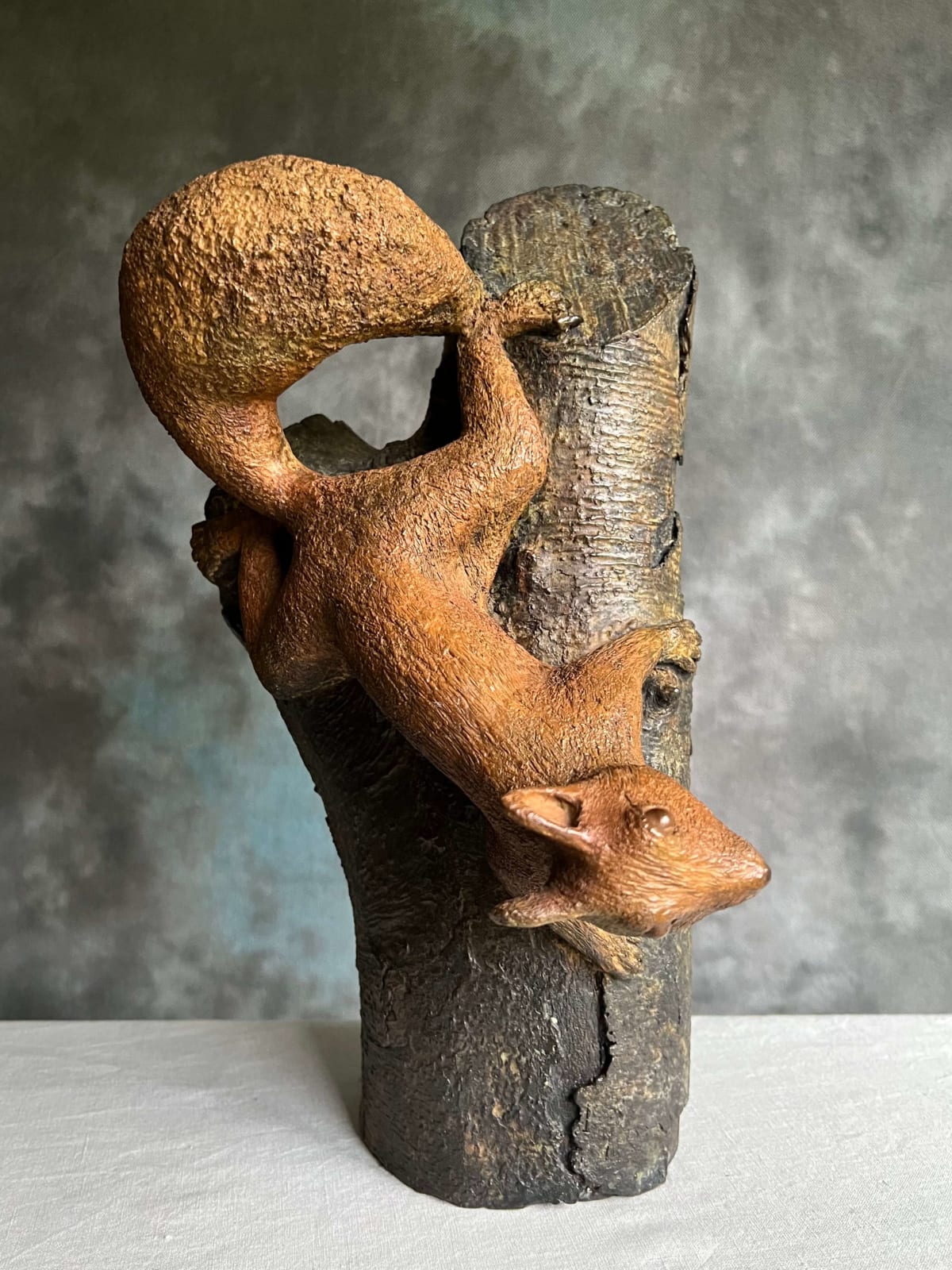 Sylvie Gaudissart Descente interrompue écureuil sculpture sylvie debray Gaudissart sculpture animalière en bronze contemporaine un écureuil grimpe sur un arbre galerie d'art bruxelles belgique art yi