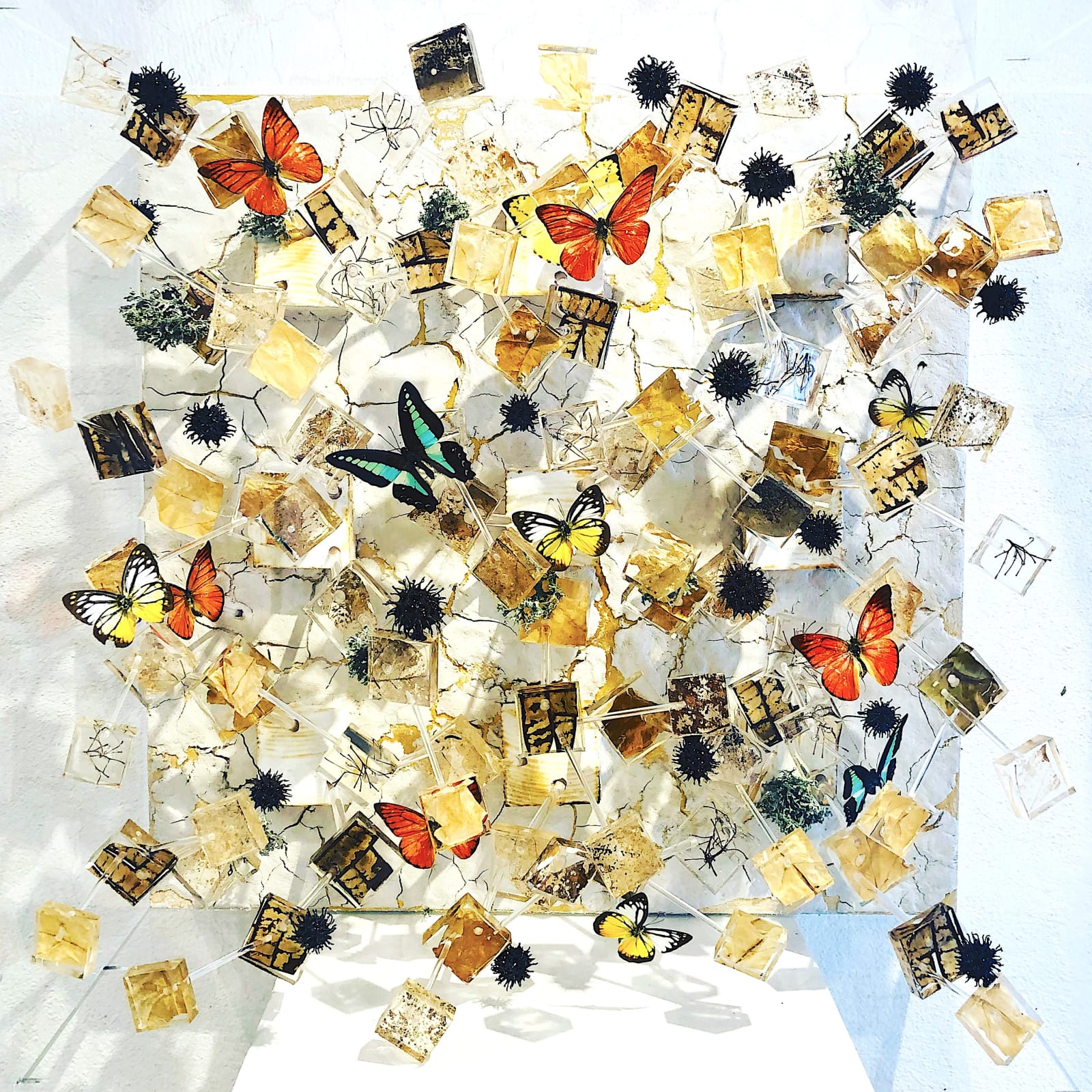 Butterfly effect ROD contemporary art wall installation wall art white wall sculpture resin art modern interior design art yi art gallery brussels