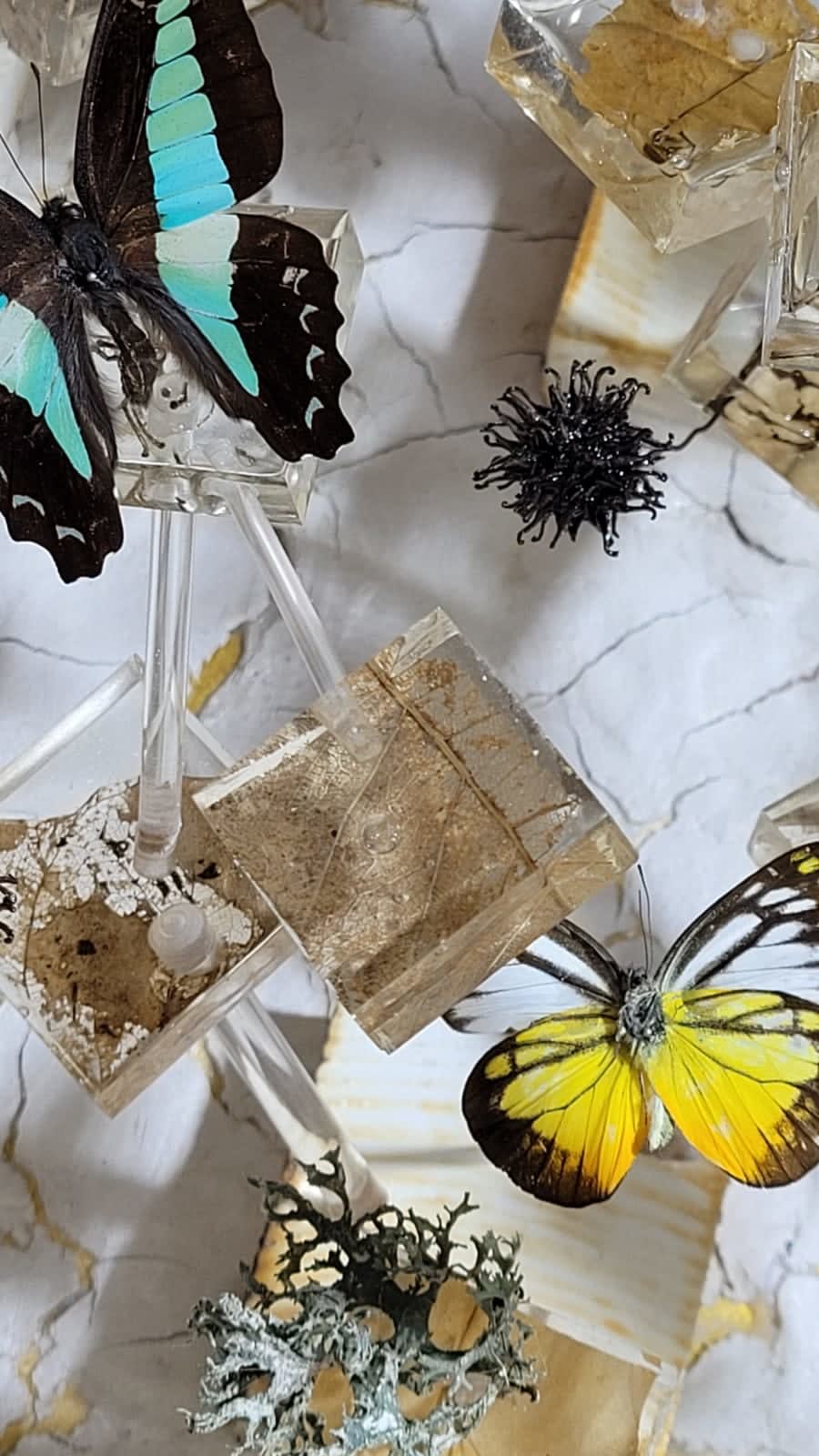 Butterfly effect ROD contemporary art wall installation wall art white wall sculpture resin art modern interior design art yi art gallery brussels
