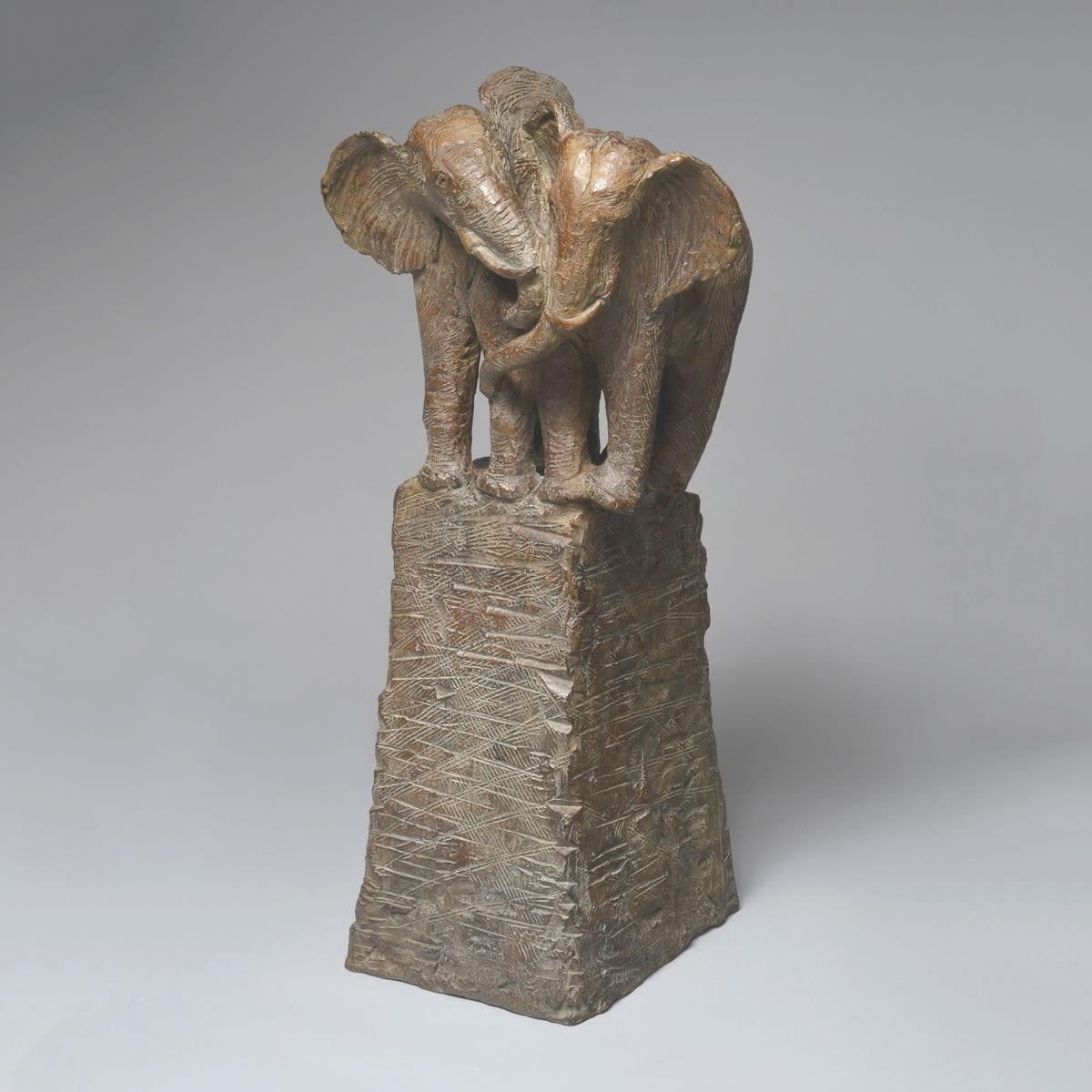 Voorgebergte een paar olifantenbeeldhouwwerk hedendaagse bronzen dierenbeeldhouwwerk sophie verger sculptuur brussel kunstgalerie belgië kunst yi