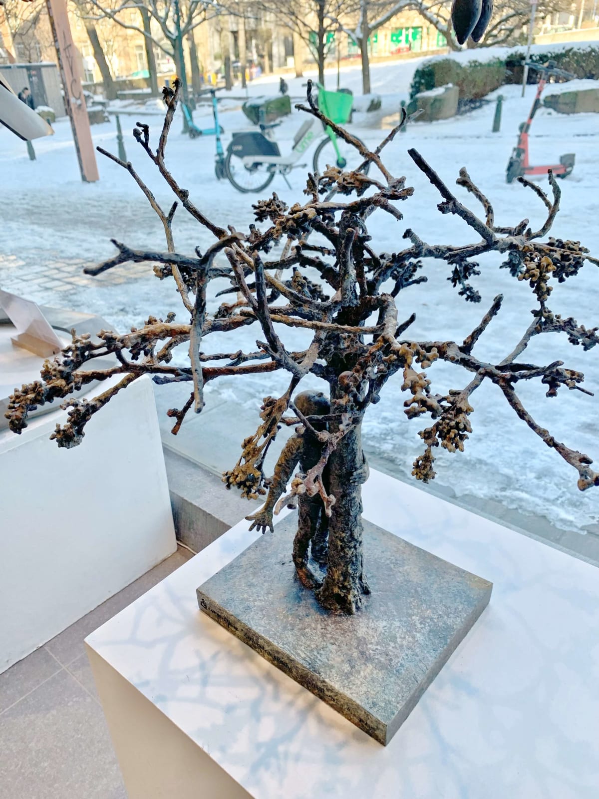 Lieven d'Haese, Conversation with a tree after a night out in spring, 2024