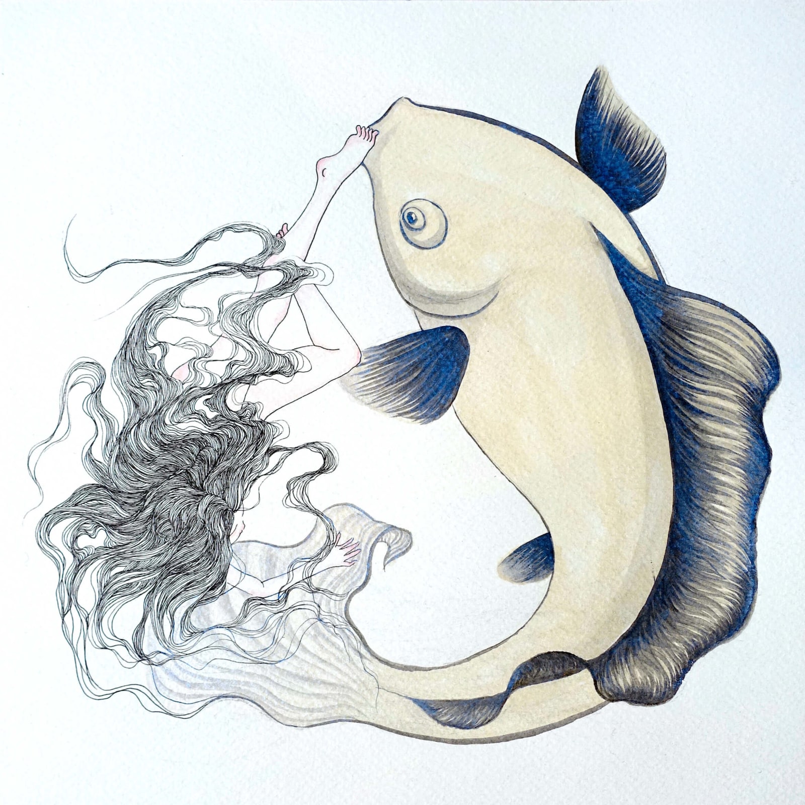 WANG Jojo 王梓乔, Fish, 2016